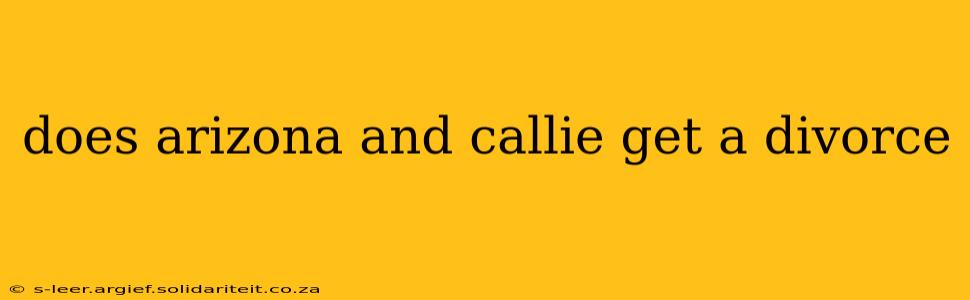 does arizona and callie get a divorce
