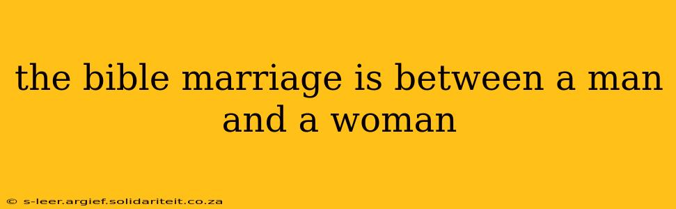 the bible marriage is between a man and a woman