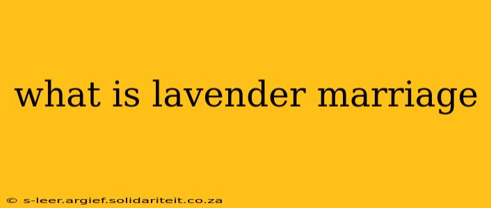 what is lavender marriage
