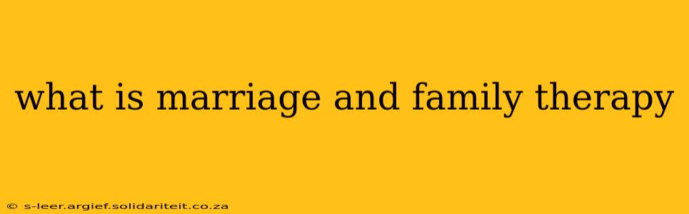 what is marriage and family therapy